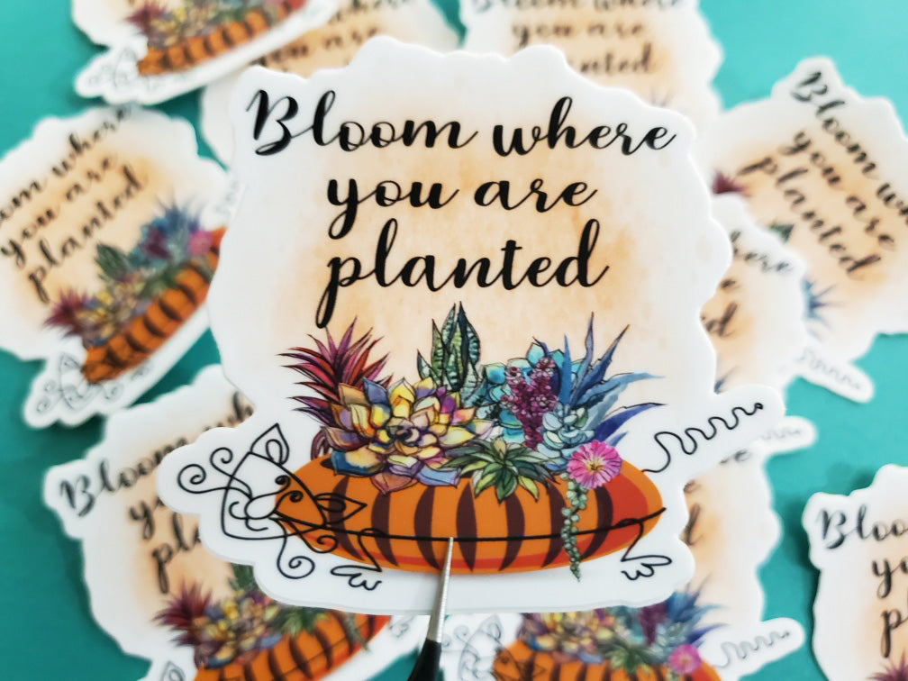 Bloom Where You Are Planted (CAT) Sticker